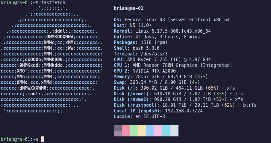 Screenshot of fastfetch output